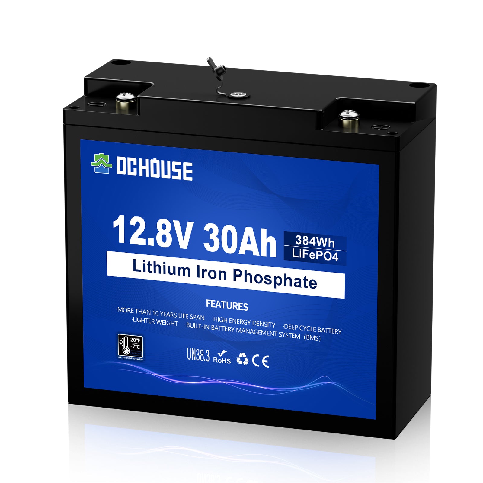 DC HOUSE Batteria Mini LiFePO4 12V 30Ah