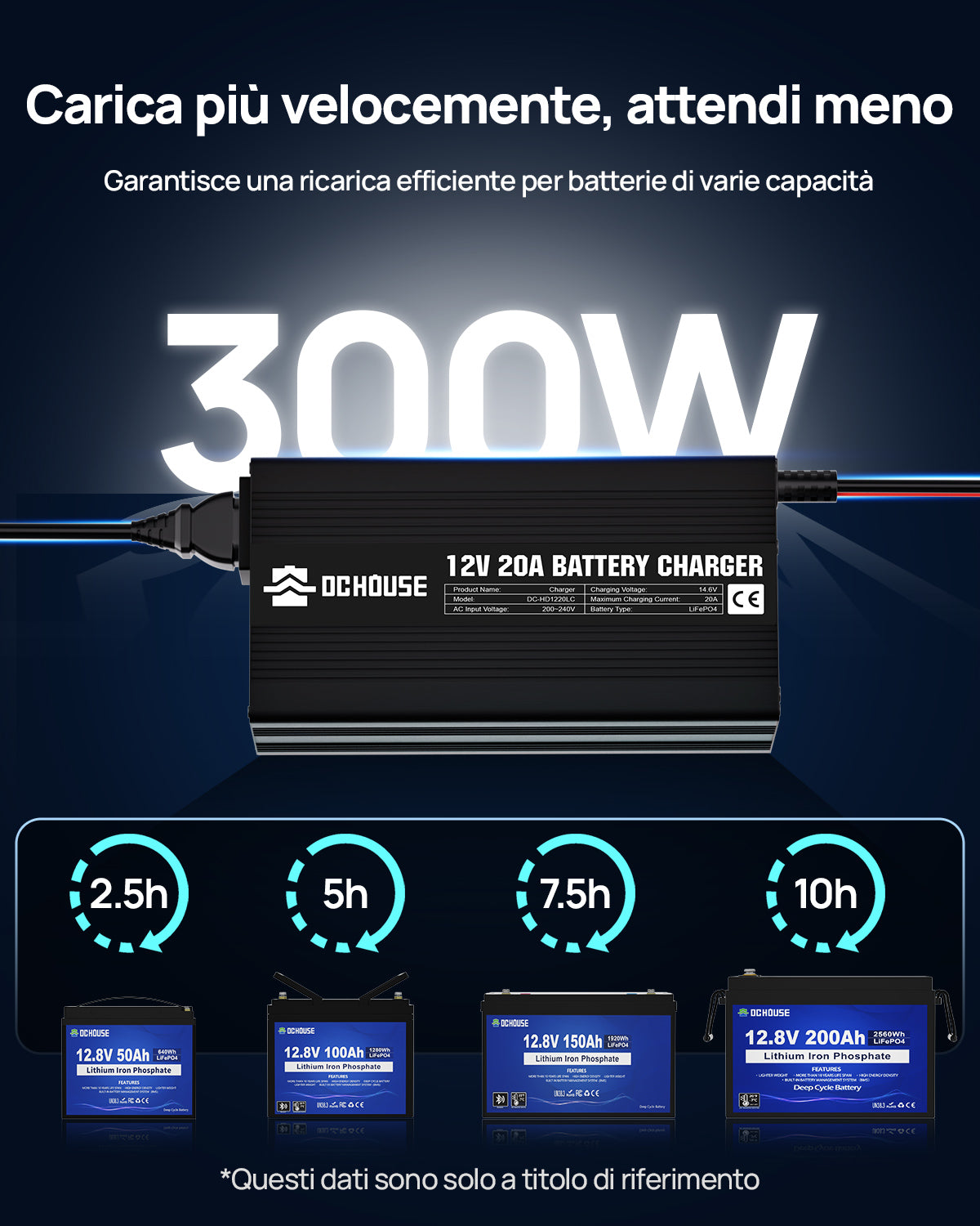 DC HOUSE 12V 20A Caricabatterie portatile AC-DC per batterie LiFePO4