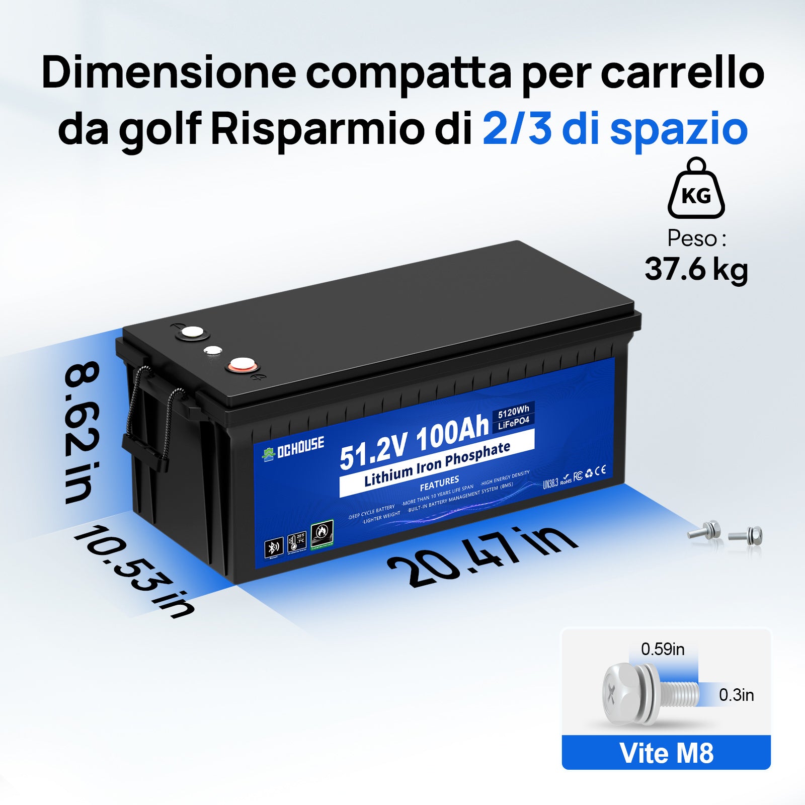 DC HOUSE Smart 48V 100Ah LiFePO4 ABS Plastic Battery with Charger - Bluetooth & LCD Monitoring for Golf Carts