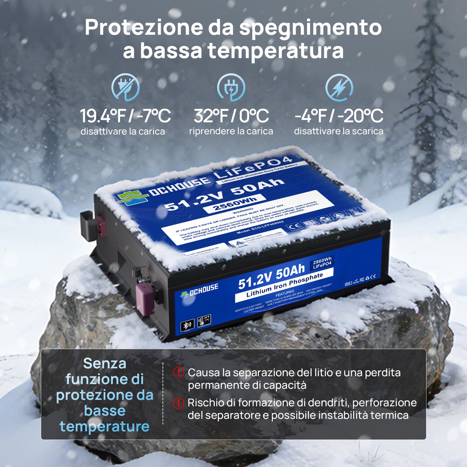 DC HOUSE 48V 50Ah Batteria LiFePO4 Durevole con Custodia in Metallo e Caricatore – Bluetooth e Protezione per Basse Temperature per Carrelli da Golf